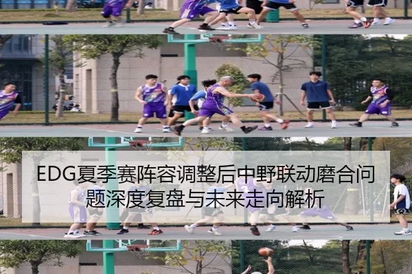 EDG夏季赛阵容调整后中野联动磨合问题深度复盘与未来走向解析